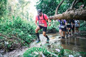 BIB: 
                            <button type="button" onclick="openModal(25463419)" class="btn btn-primary btn-sm float-right btn-popup" data-toggle="modal" data-target=".modal-high-quality">
                        <i class="fas fa-shopping-cart"></i> Add to Cart
                    </button>
                                            <button type="button" onclick="isThisMe(25463419, true)" class="btn btn-success btn-sm float-right btn-popup btn-isme hidden" data-toggle="tooltip" data-placement="bottom" title="นี่คือรูปของคุณใช่ไหม คลิกที่นี่เพื่อเอาเข้าอัลบั้ม">
                        <i class="fas fa-plus"></i> Add to album
                    </button>
                    <button type="button" onclick="isThisMe(25463419, false)" class="btn btn-warning btn-sm float-right btn-popup btn-isnotme hidden">
                        <i class="fas fa-ban"></i> Remove from album
                    </button>